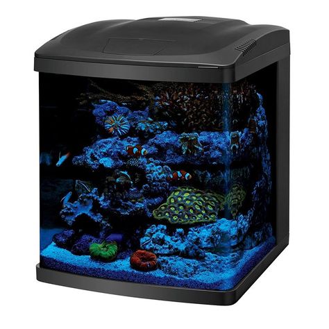 small salt water aquarium Sleek modern hood with vibrant LED lighting for freshwater to saltwater... Small Saltwater Tank, Salt Water Aquarium, Modern Hood, Saltwater Fish Tanks, Saltwater Tank, Cute Posts, Pet Animals, Saltwater Aquarium, Aquarium Fish Tank