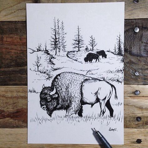 Buffalo pic. Bison Tattoo, Sam Larson, Bison Art, Buffalo Art, Silkscreen Print, American West, Western Art, Silk Screen Printing, Wildlife Art