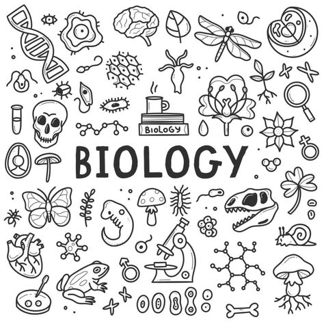 Elements Science, Biology Drawing, Biology Experiments, Science Doodles, Hand Drawn Elements, Science Biology, Cityscape Photos, White Hand, Heart With Arrow