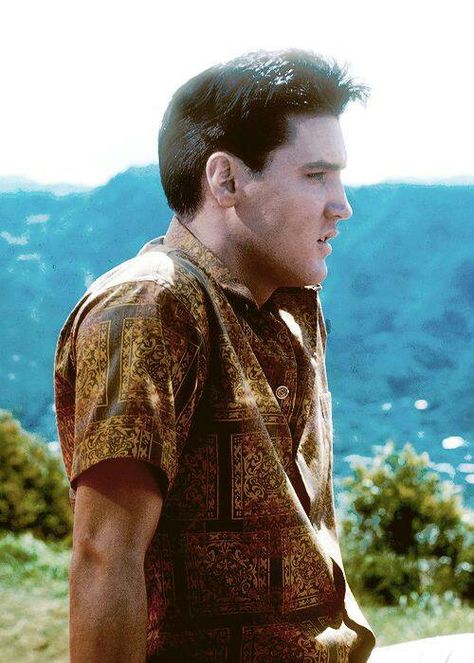 {*Elvis in Blue Hawaii*} Elvis And Lisa Marie, Elvis And Lisa, Elvis Presley Blue Hawaii, Elvis Today, Pharrell Williams Happy, Kibbe Romantic, Elvis Presley Videos, Elvis Presley Family, Elvis Presley Movies