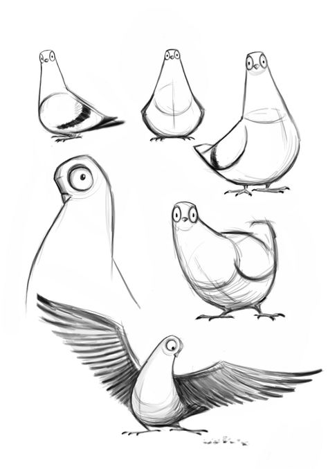 Some character designs of pigeons I completed last night for a film I'm directing called "SHOOT".  It tells the story about an Assas... Skitse Bog, Cartoon Kunst, Cartoon Birds, 캐릭터 드로잉, Animal Cartoon, Animal Sketches, Bird Drawings, Creature Concept, Character Designs