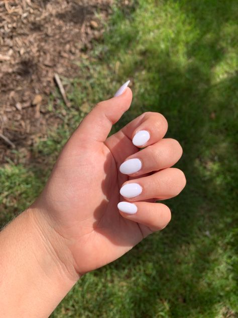 Almond White Short Nails, White Oval Nails Acrylic, Simple Short Oval Acrylic Nails, Nails Almond Short White, White Oval Nails Short, Plain Oval Nails, Short Almond Acrylic Nails White Design, Off White Nails Acrylic Oval, Cute Short Oval Acrylic Nails