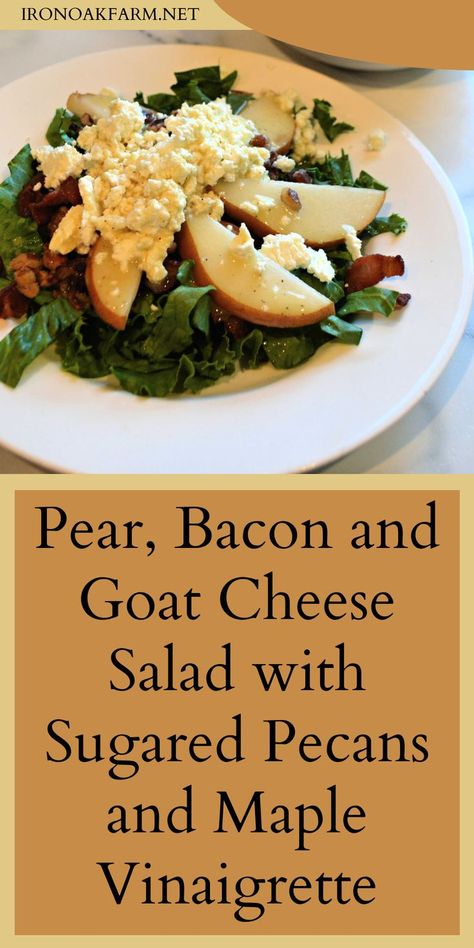 Pear Goat Cheese Salad, Salad Goat Cheese, Pear Goat Cheese, Pear Recipe, Maple Vinaigrette, Sugared Pecans, Homemade Sourdough Bread, Goat Cheese Recipes, Favorite Salad