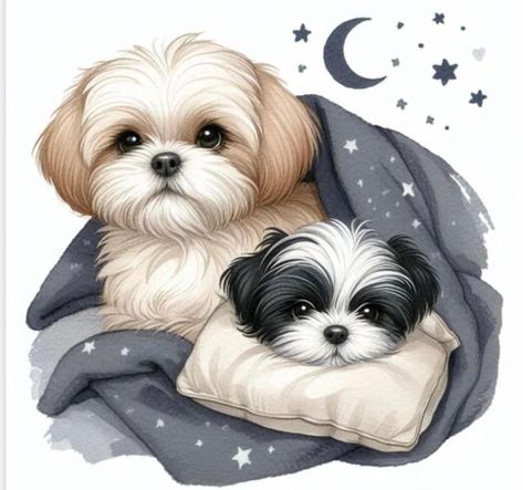 Shitzu Puppies Wallpaper, Shitzu Wallpaper, Shitzu Art, Shih Tzu Painting, Shitzu Dogs Haircuts, Shih Tzu Art, Perro Shih Tzu, Shitzu Dogs, Shitzu Puppies