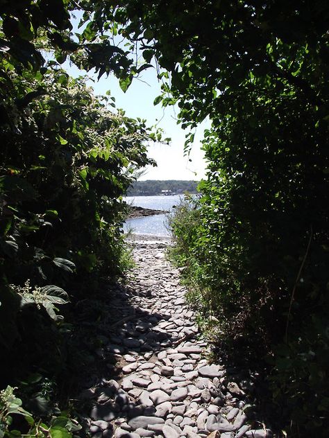 waters edge Peaks Island Maine, Maine Islands, Peaks Island, Maine Living, Visit Maine, Mount Desert Island, New England States, Maine Travel, Sea To Shining Sea