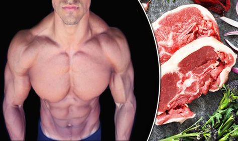 Warrior Diet : How to Get Lean on the Warrior Diet Warrior Diet Meal Plan, Warrior Diet Intermittent Fasting, Lions Diet, The Warrior Diet, The Lion Diet, Spartan Race Training Meal Plan, Lion Diet, Lean Diet, Whey Protein Shakes