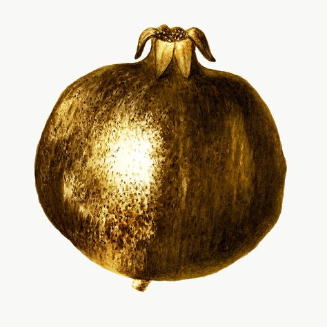 Gold pomegranate sticker design element | free image by rawpixel.com / winn Golden Food, Gold Pomegranate, Golden Fruit, Gold Fruit, Luxury Food, Gold Stickers, Plant Drawing, Idea Board, Gold Texture