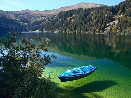 Because of the crystal-clear water, Flathead Lake in Montana seems shallow, but in reality it's 370 feet in depth. - Imgur Lake Montana, Nelson New Zealand, Visit Montana, Fairy Pools, Flathead Lake, Clear Lake, Crystal Clear Water, Pretty Places, Places Around The World