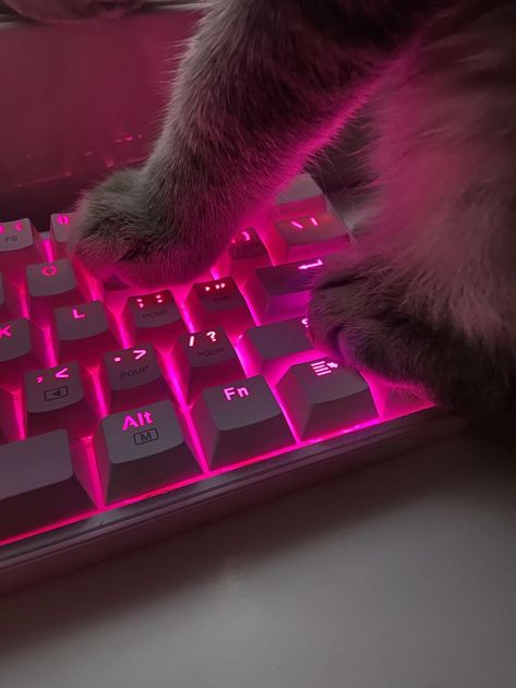 Girly M Instagram, Girly M, Future Apartment Decor, Computer Setup, Gamer Room, Cute Games, Cute Cat Gif, Girl Online, Cute Animal Photos