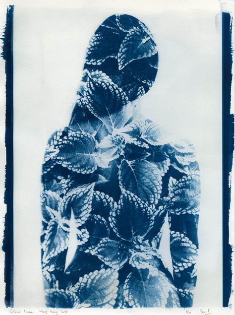 Paper Botanicals, Cyanotype Process, University Of Tampa, Southern Art, Assistant Professor, Kind Of Blue, Photographic Artist, Blue Texture, Human Figure