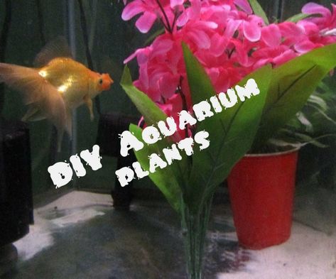 Aquarium Background Diy, Fake Aquarium Plants, White Sand Planted Aquarium, Ikea Plants, Aquarium Substrate, What Else Can An Lg. Aquarium Be Used For, Goldfish Tank, Aquarium Gravel, Diy Aquarium