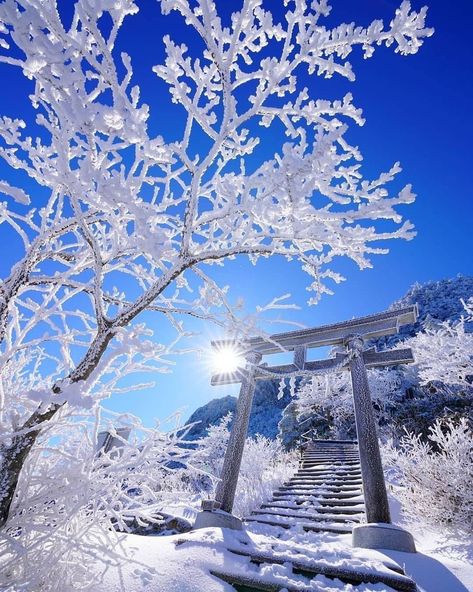 Japan - 日本 on Instagram: “Snowing in Ehime Prefecture ❄️ Amazing capture by @mercatoneuno21 👏 . Follow @japangem for more⛩❤️ . 📸: @mercatoneuno21” Winter In Japan, Land Of The Rising Sun, Snow Landscape, Mountain Snow, Ehime, Cold Ice, The Rising Sun, Winter Getaway, Mountain Peak