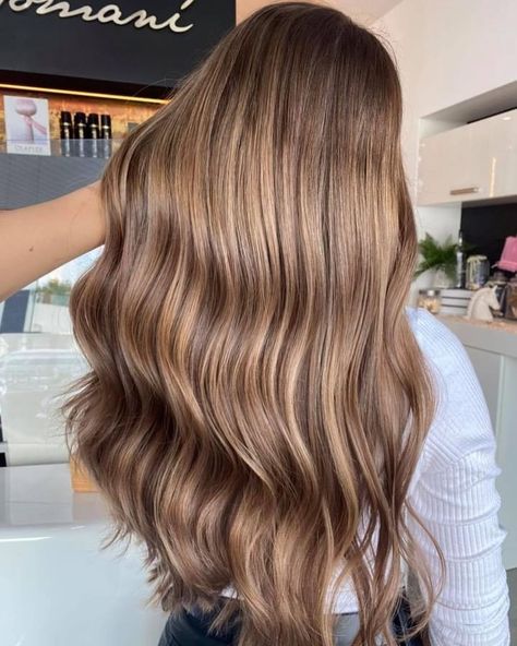 Milk Brown Hair, Light Honey Brown Hair, Light Honey Brown, Light Brown Hair Shades, Light Brown Hair Color, Brown Hair Inspiration, Warm Highlights, Brown Hair Shades, Honey Brown Hair