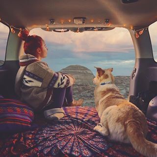 Van Traveling, Sleep In Car, Camping With Cats, Perfect Road Trip, Camp Vibes, Dog Camping, Best Cars, Road Trip Hacks, Road Trip Fun