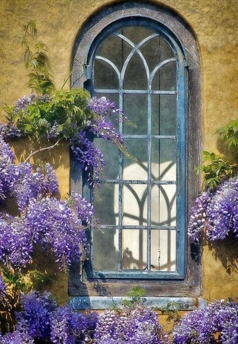 Castle Window, Window Box Flowers, Window Planters, Flower Window, Vintage Windows, Countryside House, Beautiful Streets, House Portraits, Cute House