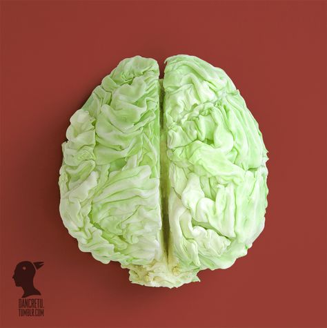 Brain Cabbage. Human Anatomy with Food Art Sculptures. See more art and information about Dan Cretu, Press the Image. Food Art Photography, Food Sculpture, Creative Food Art, Photo Montage, Conceptual Photography, Brain Food, Photo Poster, Intelligent Design, Foto Art