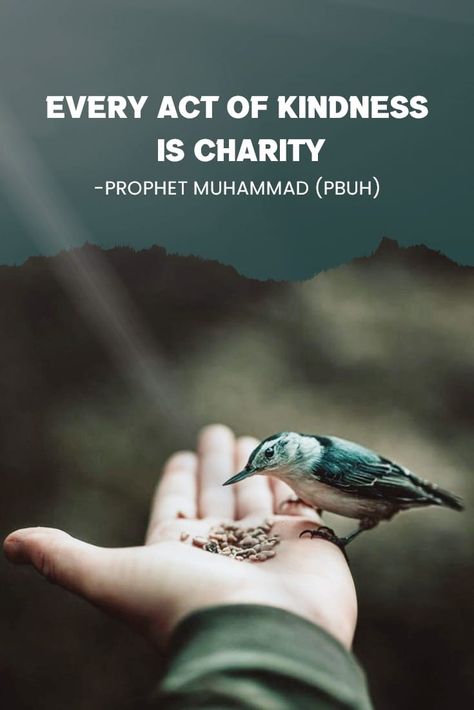 Save Birds Quotes, Charity Quotes Acts Of Kindness, Quotes On Charity, Charity Aesthetic, Kindness Pictures, Healing Habits, Muslim Charity, Charity Quotes, Poverty Quotes