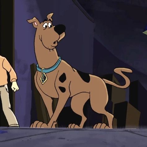 Scooby-Doo Disney Junior Characters, Scooby Doo Dog, Scooby Doo Mystery Inc, Scooby Doo Images, New Scooby Doo, Scooby Doo Mystery, Kids Tv Shows, Cartoon Icons, Disney Junior