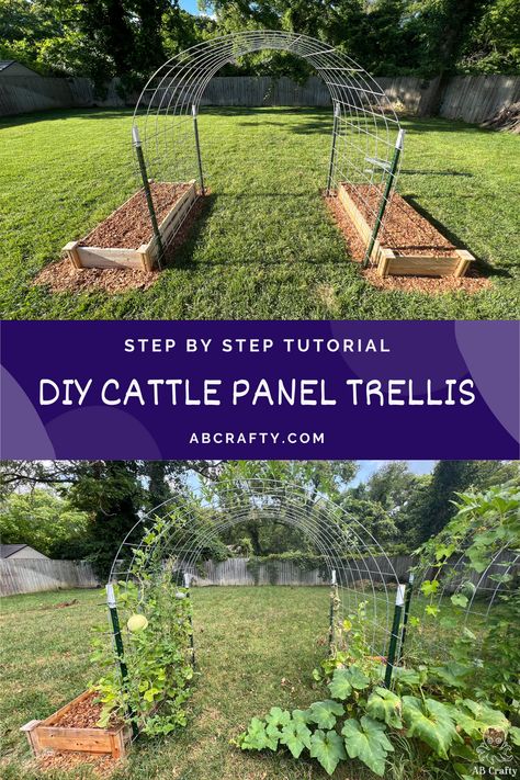 two photos of the finished cattle panel trellis and then the garden arch with plants growing on it. the title says “step by step tutorial, diy cattle panel trellis, abcrafty.com" Cattle Panel Trellis Arches, Cattle Panel Trellis, Panel Trellis, Chicken Wire Fence, Wood Raised Garden Bed, Building A Trellis, Tomato Trellis, Elevated Planter Box, Cattle Panels