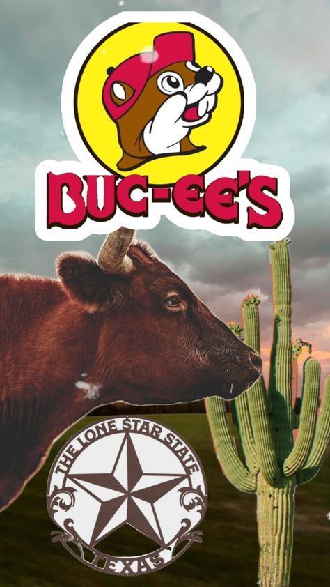 #texas #buccees Buccees Aesthetic, Texas University Longhorns, Texas Culture, Texas University, Simple Wallpaper, Lone Star State, Texas State, University Of Texas, Simple Wallpapers