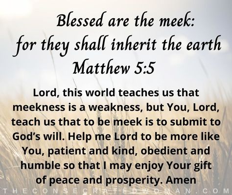 Biblical Meekness is Not Weakness | The Consecrated Woman Meekness Is Not Weakness, Meekness Bible, Strong Women Intimidate Weak Men, The Woman Was Too Stunned To Speak, You Might Be The Only Bible People Read, Rebekah Bible Woman, God Centered, Christian Articles, Negative Traits