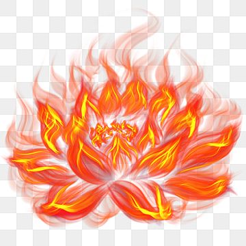 flame,lotus flower,spark,lotus,abstract,fire,decorative pattern Lotus On Fire Tattoo, Lotus Flower On Fire Tattoo, Flower Fire Tattoo, Fire Flower Art, Fire Lotus Tattoo, Flower On Fire Tattoo, Fire Flower Tattoo, Lotus Clipart, Fire Clipart