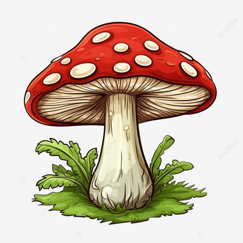 mushroom drawing isolated fungus mushroom nature png Red Mushrooms, Amanita Muscaria, Mushroom Tattoos, Mushroom Drawing, Vintage Mushroom, Mushroom Fungi, Seni Cat Air, Mushroom Art, Hippie Art