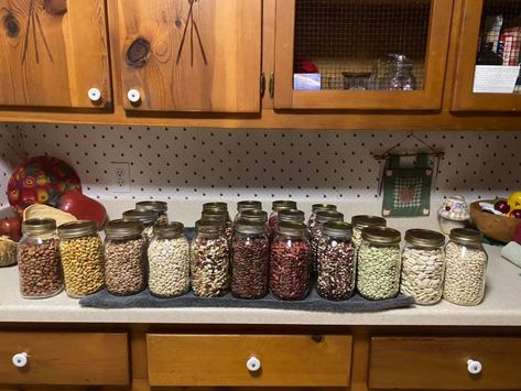 Here is a picture of 22 qts of beans I canned yesterday. They all sealed thank you Lord. There is 11 kinds of beans Anasazia , cranberry, mayocobra , pinto, great northern, little green limas, baby limas, large limas , 13 bean soup, kidney light and dark. Thank you who got my attention with... - Canning Simple Recipes Food Gardening Preserving and Crafting 13 Bean Soup, Kinds Of Beans, Canning Supplies, Food Gardening, Northern Beans, Pressure Canner, Hearty Salads, Comfort Soup, Canned Beans