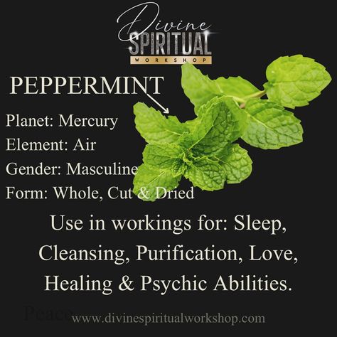 PEPPERMINT✨ A delightful smelling herb that can be added to your workings for a variety of conditions. Great to use in healing baths for its natural medicinal healing properties! Healing Baths, Healing Properties, Home Remedies, Natural Remedies, Peppermint, Medicine, Herbs, Conditioner, Charms