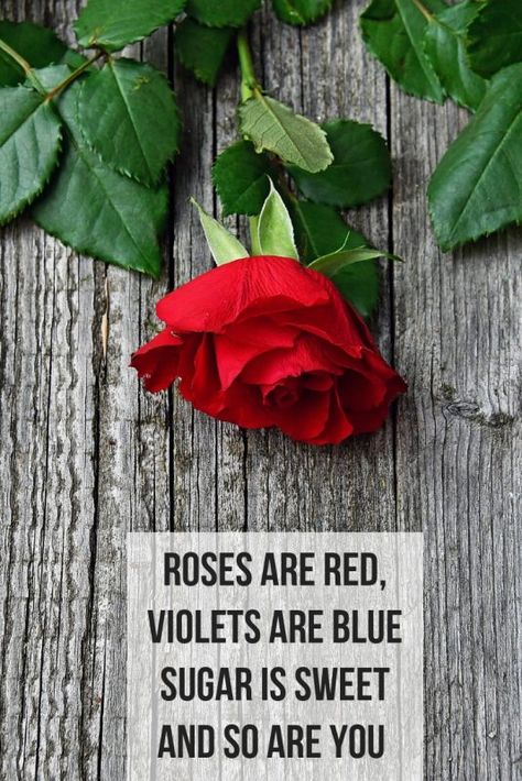 Romantic rhyming Valentine poems Valentine Poems For Him, Valentine Poems, Short Love Poems, Valentines Poems, Valentines Day Poems, Best Places To Propose, Rhyming Poems, Rose Day, Verses About Love