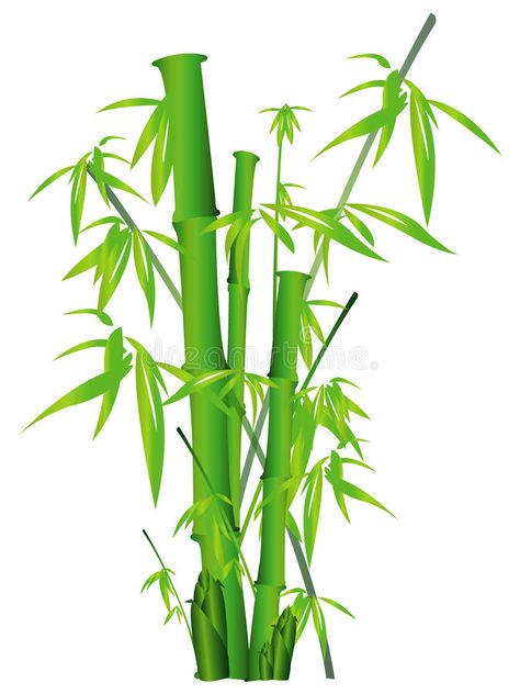 Bamboo Plant Drawing, Bamboo Illustration Design, Bamboo Illustration, Bamboo Cartoon, Bamboo Drawing, Bamboo Forest Illustration, Bamboo Forest Painting, Bamboo Shoot, Chinese Bamboo