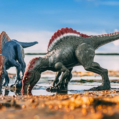 Toy Dinosaurs Photography, Jurassic World Toy Photography, Dinosaur Photography, Tuff Tray Ideas Toddlers, Jurassic World 2, Fnaf Foxy, Dino Toys, Paw Patrol Toys, Toy Photography