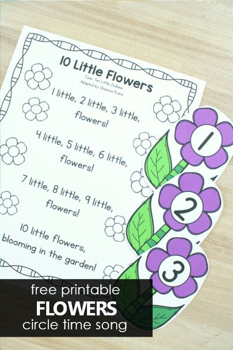 Flower Circle Time Activities, Flower Songs For Preschoolers, Infant Songs, Spring Theme Preschool Activities, Flowers Activities, Preschool Plants, Flowers Preschool, Preschool Circle Time Songs, Circle Songs