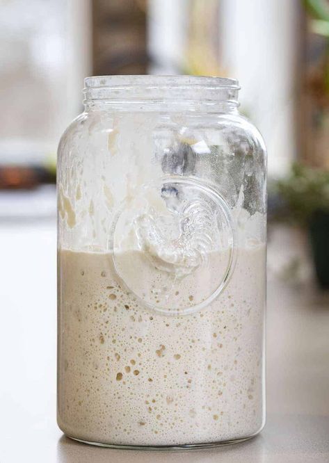 This Sourdough Starter is pretty darn easy to do and a great option for delicious homemade baked goods! Sourdough Starter, How to Make a Sourdough Starter, Sourdough, Sourdough Bread, Baking, Recipes, Easy Starter, i am homesteader, iamhomesteader Best Sourdough Starter Recipe, Starter Sourdough, Sourdough English Muffins, Dough Starter, Sourdough Bread Starter, Sourdough Starter Discard Recipe, Bread Starter, Homemade Sourdough Bread, Artisan Bread Recipes