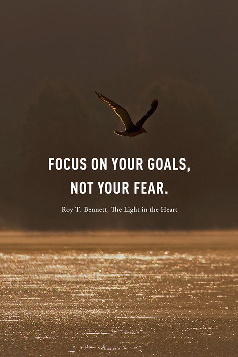 Focus on your goals, not your fear. Focus like a laser beam on your goals.  Roy T. Bennett, The Light in the Heart Focus On Your Goals Motivation, My Dreams Quotes, Focus Quotes, Kalam Quotes, Laser Beam, Goals Quotes, Goals Motivation, New Beginning Quotes, Positive Quotes For Life Motivation