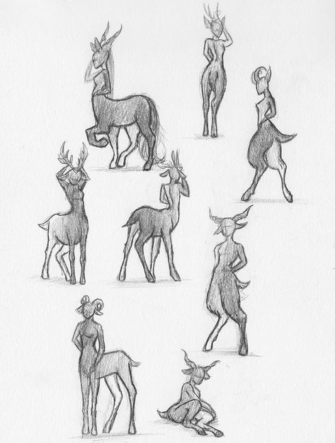 Centaur Oc Drawing, Centar Reference Drawing, Goat Anatomy Drawing, Deer Walk Cycle, Saytr Legs Reference, Reindeer Centaur, Deer Legs Reference, Goat Legs Reference, Deer Human Hybrid