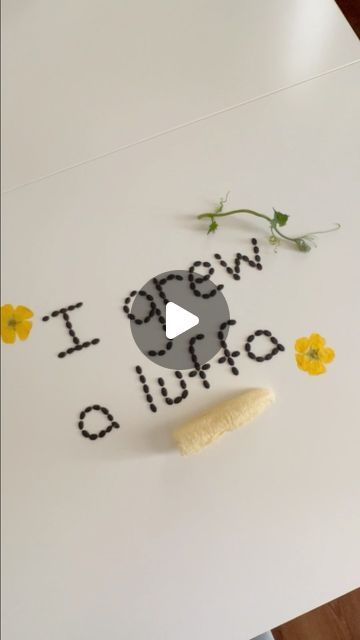 Amber | Sustainable Upcycles on Instagram: "Luffa compilation video, a sustainable dream come true.  How fun it is to say you grew your own loofah sponge from seed! Check out my blog post (link in bio) on all the luffa growing details if you want to grow your own. I will definitely be growing luffas every year for the foreseeable future.

#luffa #loofah #luffasponge #loofahsponge #grownfromseed #sustainableliving #lowwasteliving #ecofriendly #luffachallenge2022" Growing Luffas, Loofah Sponge, Grow Your Own, Dream Come True, Say You, My Blog, To Grow, Sustainability, Link In Bio