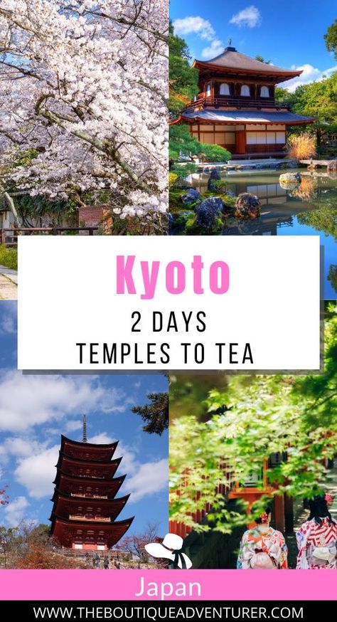 2 Day Itinerary Kyoto: From temples to tea to geishas - there is so much to see in Kyoto. Here are the activities you must do if you only have 2 days Kyoto Itinerary, Kiyomizu-dera Temple, Kansai International Airport, Visit Kyoto, Golden Pavilion, Kiyomizu Dera, Japan Travel Tips, Japan Travel Guide, Next Holiday