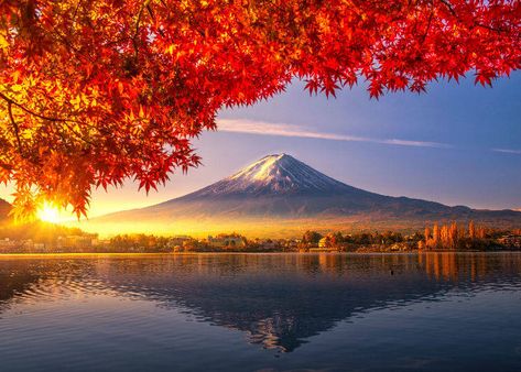 When to See Mt. Fuji? The Best Time and Season When Japan’s Iconic Mountain is Visible! - LIVE JAPAN (Japanese travel, sightseeing and experience guide) Japan In November, Robert Ryman, Gunung Fuji, Giuseppe Penone, Kamikochi, Tata Surya, Mount Fuji Japan, Japan Autumn, Day Trips From Tokyo