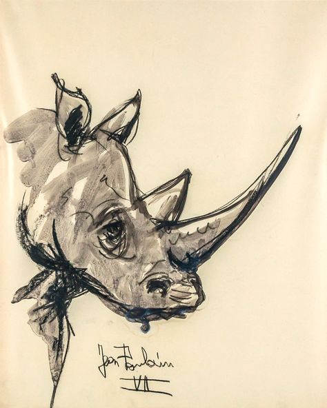 Rhinoceros Art, Rhino Tattoo, Rhino Art, Rhino Logo, Instagram Design Creative, Tinta China, Animal Projects, Animal Sketches, Sketch Painting