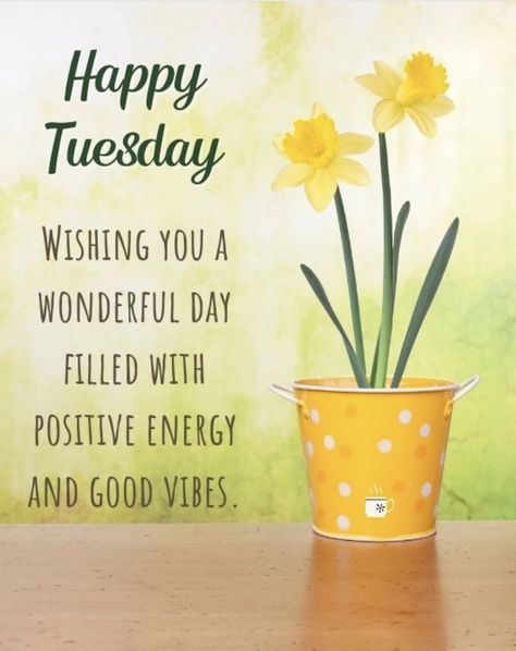 Good morning 🌞 Have a terrific Tuesday. 💋💜 Tuesday Morning Wishes, Thoughtful Tuesday, Good Morning Tuesday Wishes, Have A Terrific Tuesday, Beautiful Day Quotes, Tuesday Vibes, Happy Tuesday Morning, Tuesday Quotes Good Morning, Tuesday Greetings