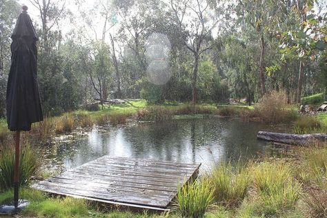 Pools Australia, Swimming Pool Pond, Farm Pond, Natural Swimming Ponds, Home Decor Wallpaper, Fountains Backyard, Pond Waterfall, Swimming Pond, Pond Landscaping