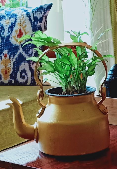 Inspo Board, House Plant, Art Class, Plant Decor, Art Classes, House Plants, Tea Pots, Nature Photography, Lion