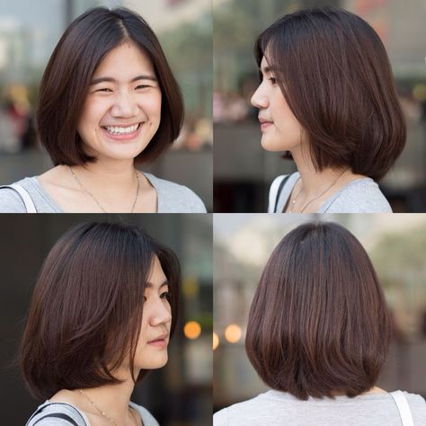 Easy Free 100+ Hairstyle Ideas|hairstyle beauty|hairstyles for medium length hair Layered Haircut Tutorial, Korean Bob Haircut, Korean Bob, Haircut Tutorial, Beauty Hairstyles, Short Layered, Shot Hair Styles, Layered Haircut, Haircuts For Medium Hair