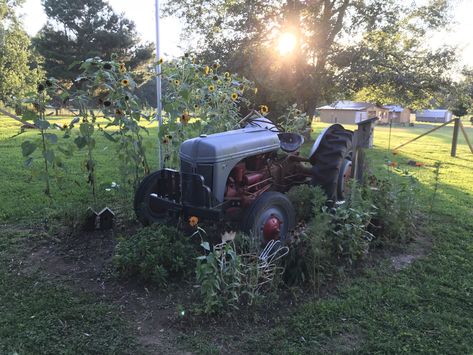 Starting my flowerbed around my husbands 47 Ford tractor Antique Tractor Yard Decor, Old Farm Equipment Decor Yards, Old Tractor Landscaping, Tractor Decorations, Farming Machinery, Landscaping Around Deck, Tractor Decor, Farmers Market Display, Rustic Landscaping