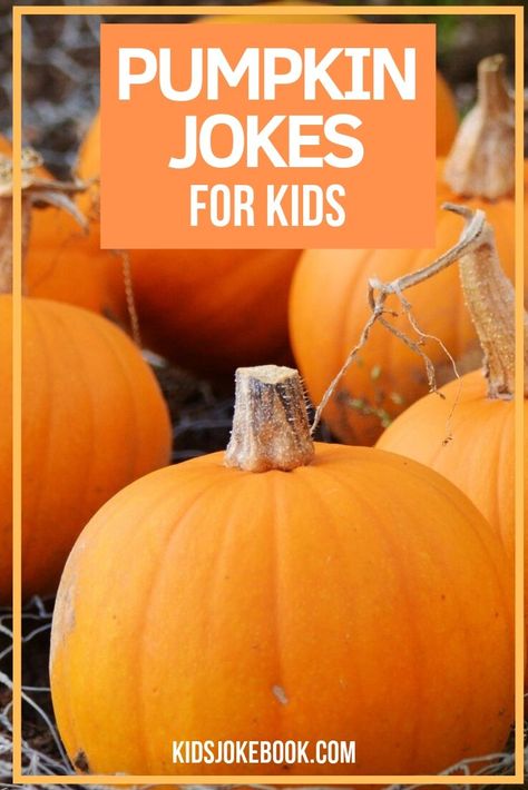 Fall Jokes For Kids, Fall Jokes, Pumpkin Meme, Pumpkin Jokes, Best Kid Jokes, Pumpkin Puns, Lunch Jokes, October Kids, Kid Jokes