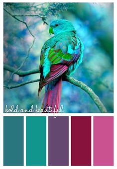 Teal Colour Palette, Colour Palette Ideas, Teal Color Palette, Teal Color Schemes, Color Schemes Colour Palettes, Kitchen Colour Schemes, Palette Ideas, Jewel Tone Colors, Design Seeds