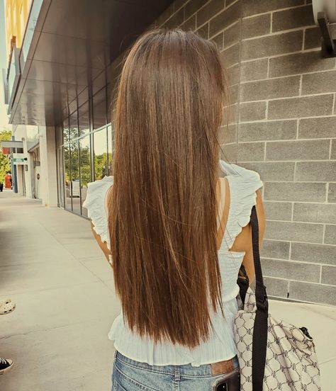 Straight brown hair Pin Straight Brown Hair, Nice Hair Aesthetic, Light Brunette Hair Straight, Long Straight Hair Brown, Straight Chestnut Brown Hair, Simple Haircut For Long Hair Straight, Normal Brown Hair, Hair For Brown Hair, Long Thick Straight Hair