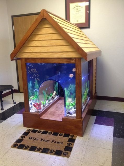 They Need Human-Sized Aquariums Like This!  Such a cool idea for your kitty! Katt Grejer, Cool Fish Tanks, Cool Dog Houses, Cool Fish, Home Aquarium, Aquarium Design, Vet Clinics, Aquarium Decor, Earthship