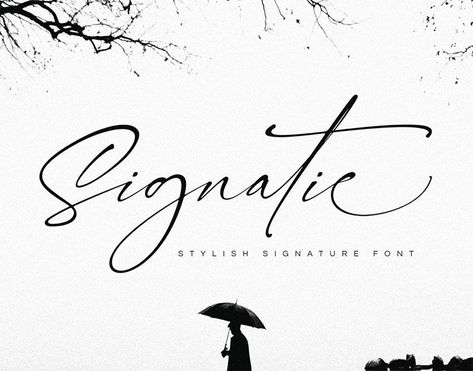 30+ Free Signature Fonts (Script Fonts to Download Now) Free Signature Fonts, Fonts To Download, Fonts Script, Best Script Fonts, Modern Calligraphy Fonts, Modern Script Font, Free Script Fonts, Handwritten Script Font, Signature Fonts